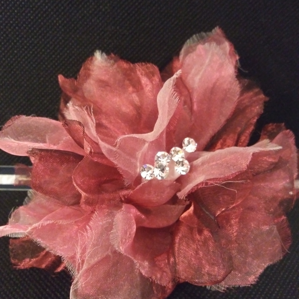 Two-Tone Hair or Outfit Accessory